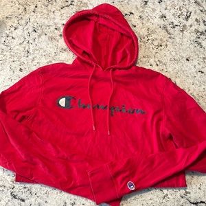 Men’s champions lightweight hoodie